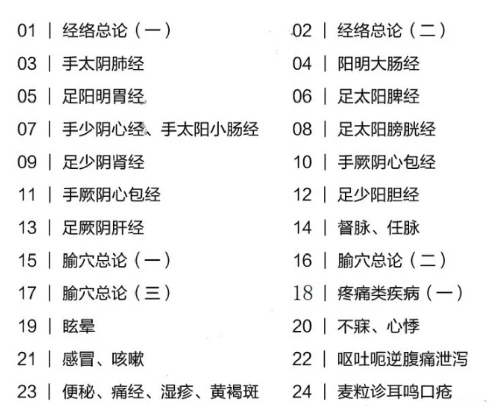 图片[2]-中医人必学的经络课零基础自学视频教程