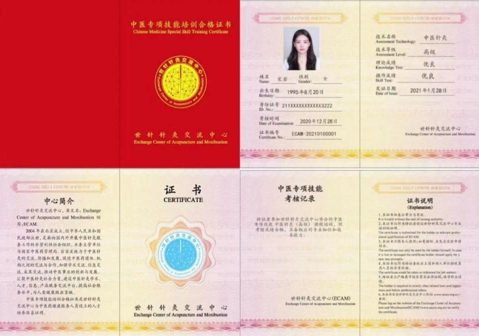 图片[3]-【国家中医药管理局 | 世针针灸交流中心】中医专业双证书一览表