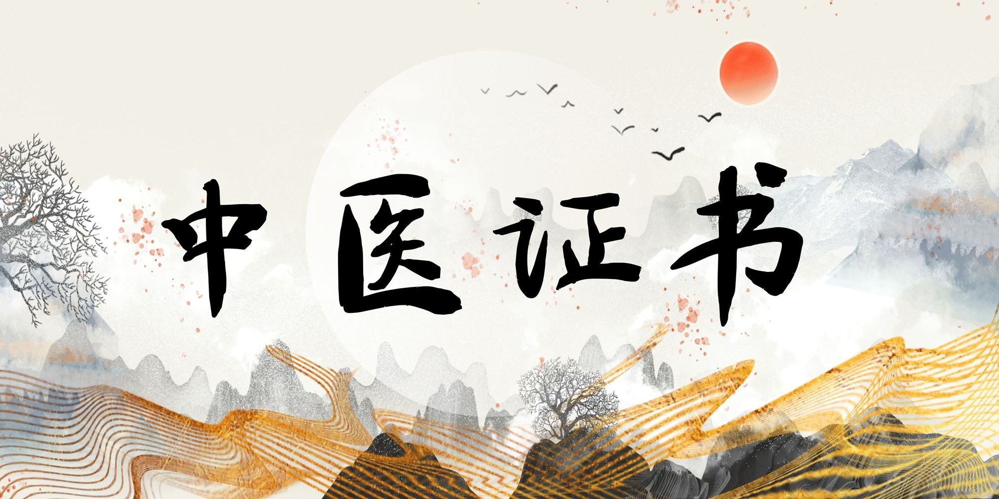 分类-中医证书-痛立止理骨术正骨培训网